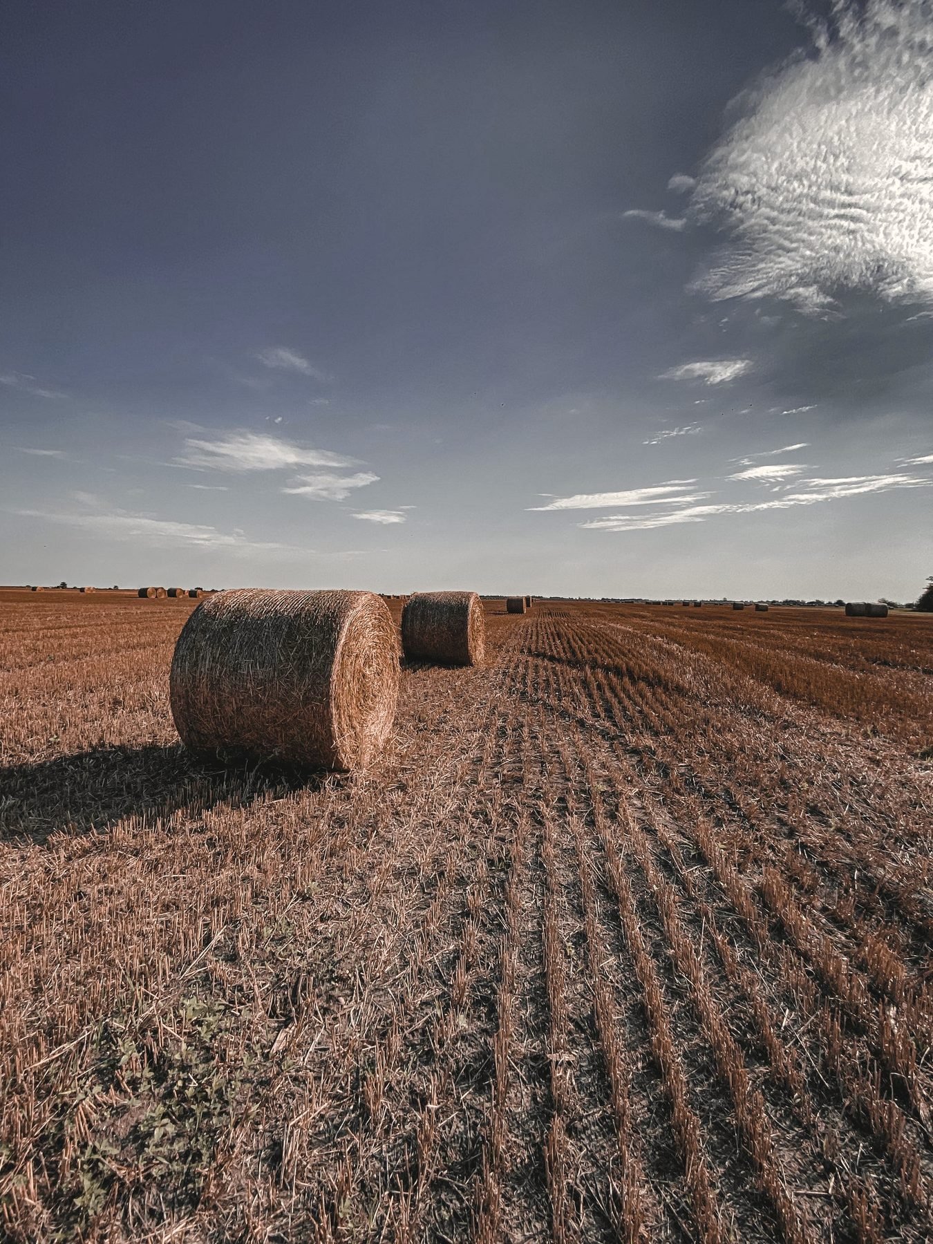 A single round bale on a freshly plowed field.
