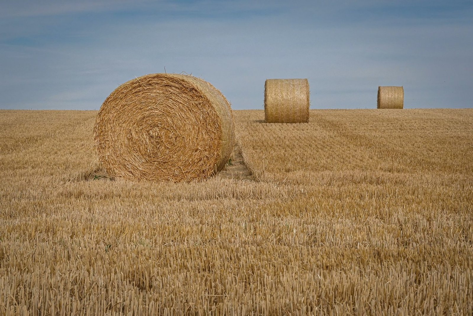 Round hay bales across a cut golden field.