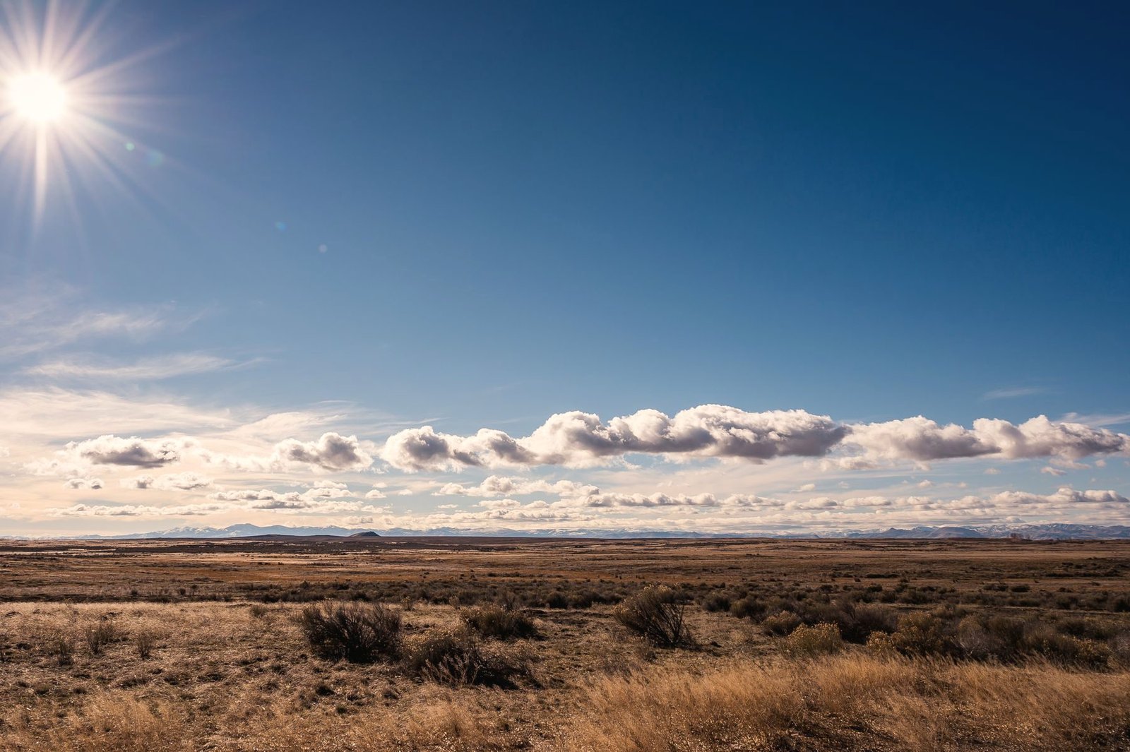 Open high-plains grassland under a wide New Mexico sky.